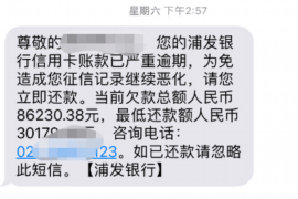 张掖张掖专业催债公司，专业催收